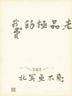 我的极品老婆免费封面