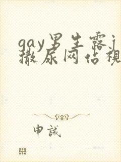 gay男生露j撒尿网站视频