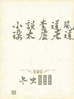 小说李道风江雪瑶太虚老道是哪个小说