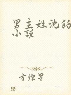 男主姓沈的总裁小说封面