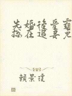 先婚后爱霸总他总在追妻免费阅读