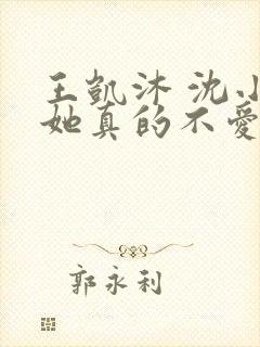 王凯沐 沈小姐她真的不爱了