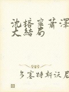 沈榕宁萧泽小说大结局