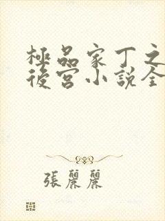 极品家丁之风流后宫小说全文阅读