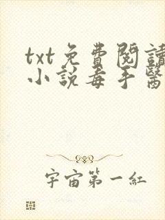 txt免费阅读小说毒手医妃王爷被休夫了封面