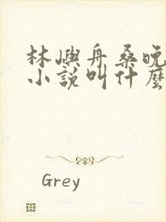 林屿舟桑晚温言小说叫什么名字