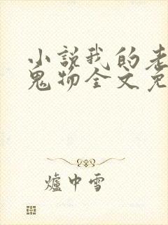 小说我的老公是鬼物全文免费阅读