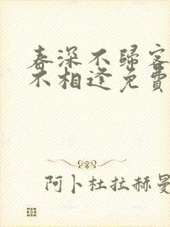 春深不归客清梦不相逢免费阅读大结局