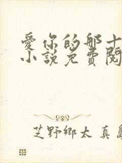 爱你的那十一年小说免费阅读