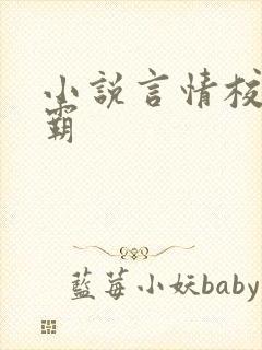 小说言情校园校霸