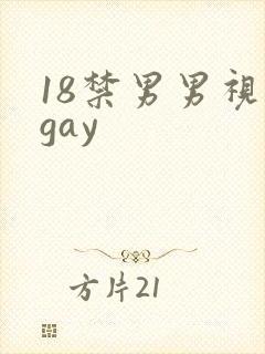 18禁男男视频gay