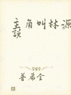 主角叫林源的小说