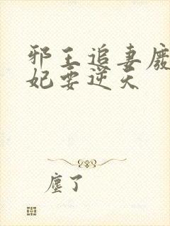 邪王追妻废材狂妃要逆天