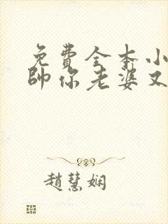 免费全本小说少帅你老婆又跑了