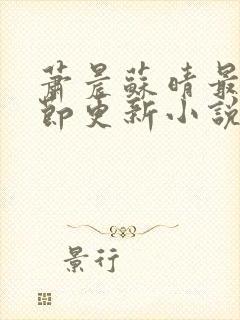 萧晨苏晴最新章节更新小说