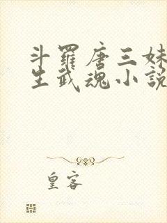 斗罗唐三妹妹双生武魂小说