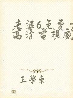 老婆6免费完整高清电视剧在线观看