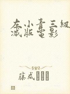 左小青三级无删减版电影