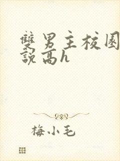 双男主校园文小说高h封面