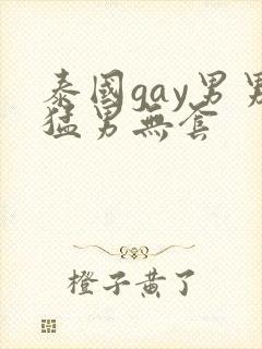 泰国gay男男猛男无套