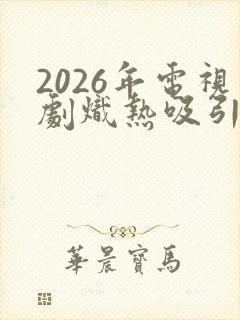 2026年电视剧炽热吸引电视剧全集免费封面
