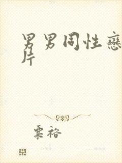 男男同性恋黄色片封面
