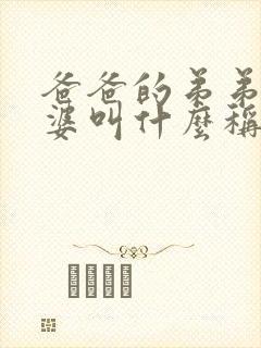 爸爸的弟弟的老婆叫什么称呼