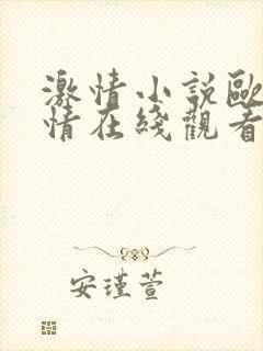 激情小说欧美激情在线观看