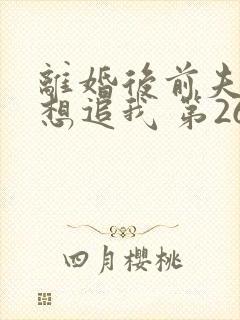 离婚后前夫总是想追我 第260章