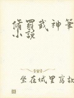 修罗武神笔趣阁小说封面