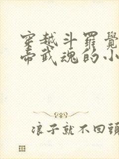 穿越斗罗觉醒雷帝武魂的小说