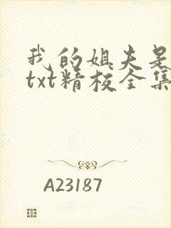 我的姐夫是太子txt精校全集下载