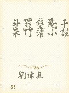 斗罗双飞千仞雪朱竹清小说