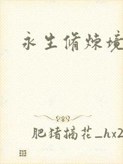 永生修炼境界封面