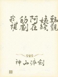 我的阿姨韩剧电视剧在线观看免费版