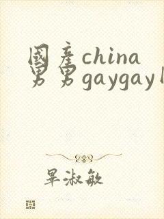 国产china男男gaygay网站封面