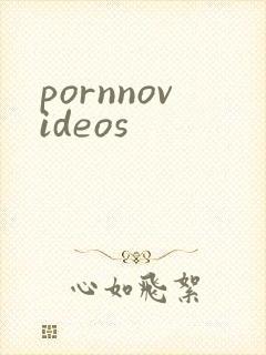 pornnovideos封面