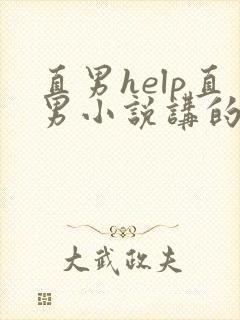 直男help直男小说讲的什么