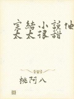 完结小说他的战太太很甜