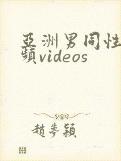 亚洲男同性恋视频videos封面