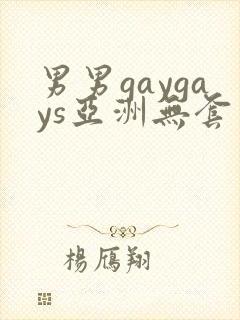 男男gaygays亚洲无套封面