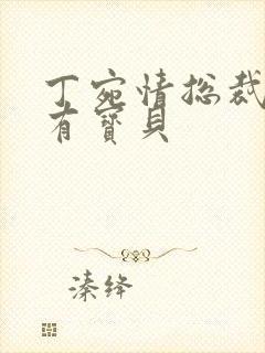 丁宛情总裁的私有宝贝