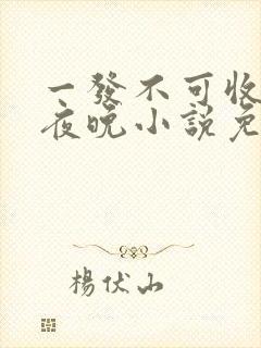 一发不可收拾的夜晚小说免费