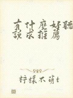 有什么好听的小说求推荐封面