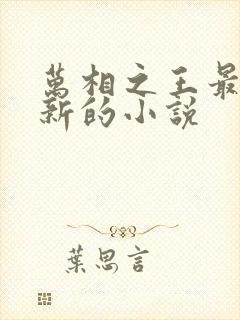 万相之王最快更新的小说