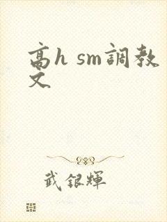 高h sm调教文