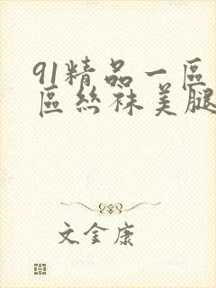 91精品一区二区丝袜美腿