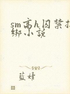 sm高h囚禁捆绑小说