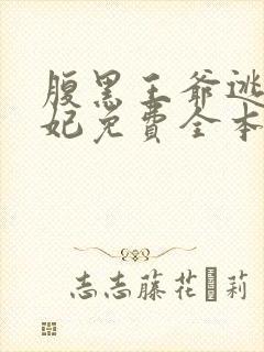 腹黑王爷逃跑王妃免费全本小说