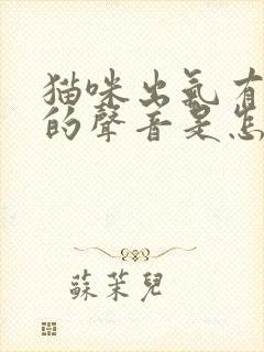 猫咪出气有呼呼的声音是怎么回事